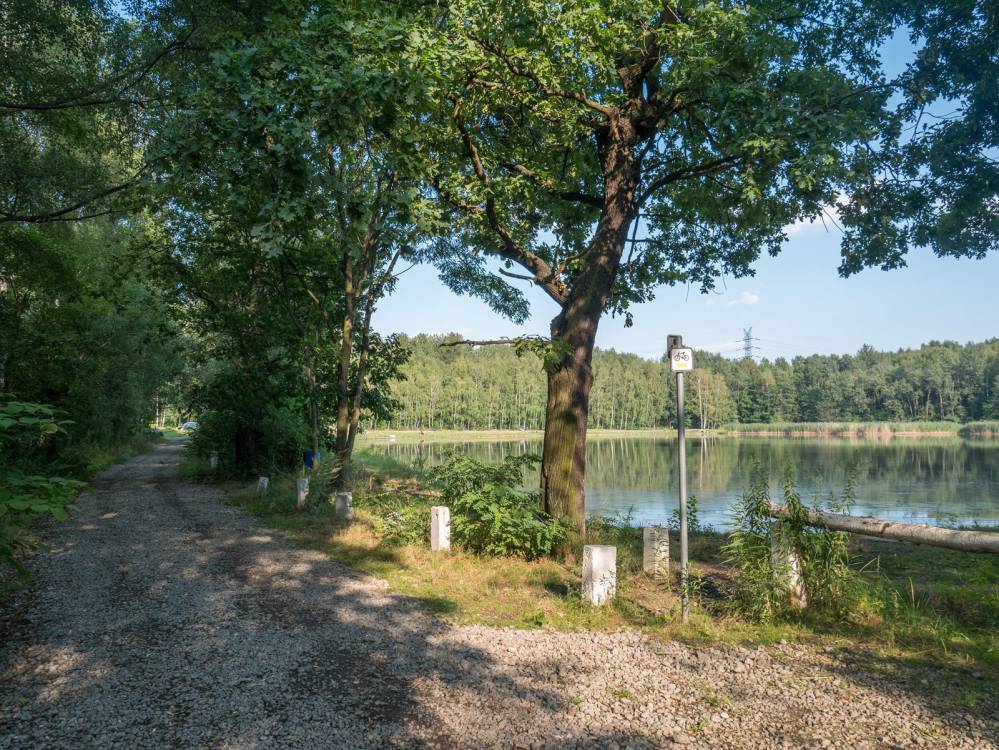 Ż&oacute;łty szlak rowerowy nr 5 w Katowicach