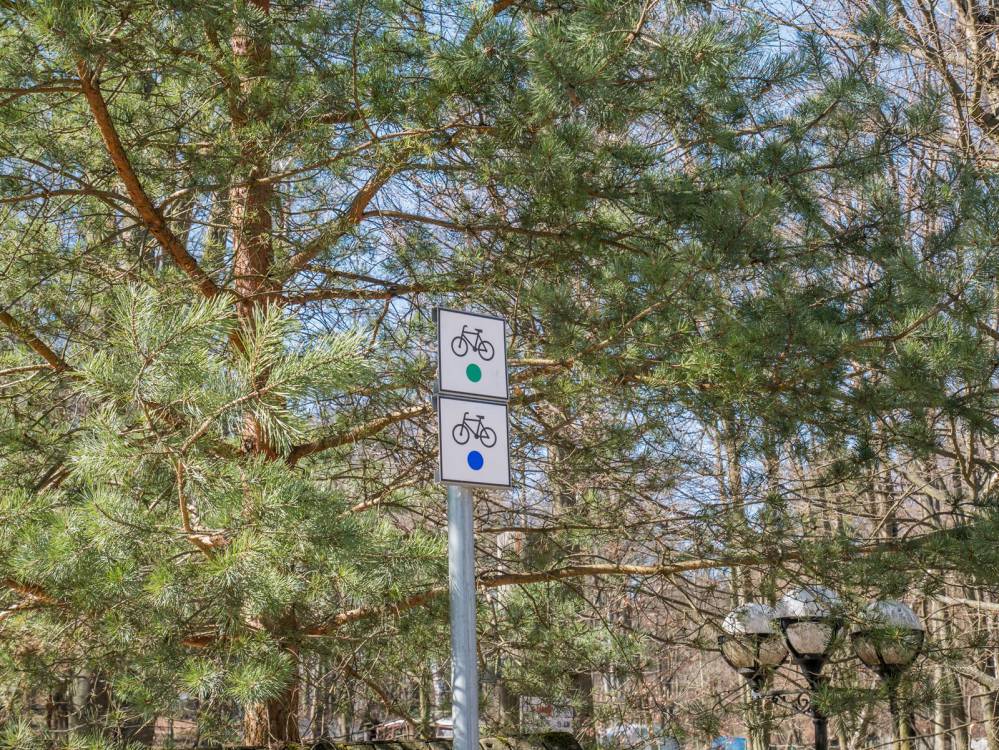 Zielony szlak rowerowy w Zawierciu